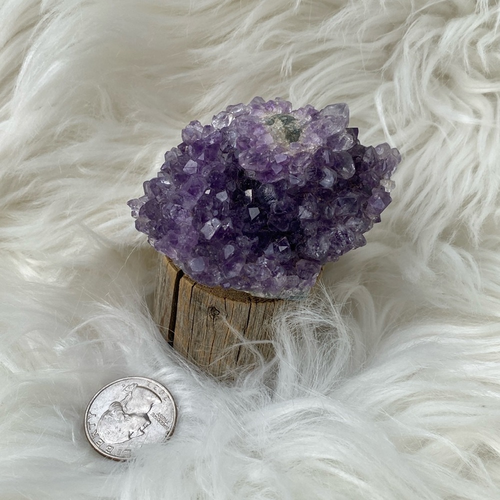 Amethyst cluster